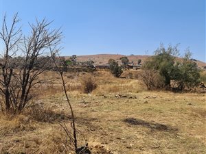 5 ha Land available in Althea
