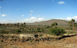 1285 m² Land available in Willowmore