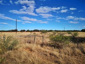 400 ha Farm in Bloemfontein Rural