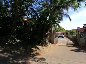 3 Bed House in Bluff