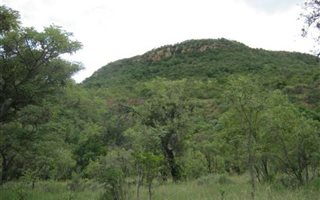 1 ha Land available in Modimolle