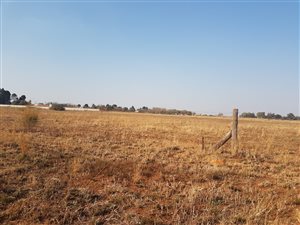 8.6 ha Farm in Roodia