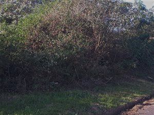 1000 m² Land available in La Mercy