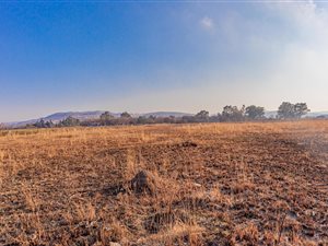 4.7 ha Land available in Olifantsvlei