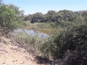 17 ha Farm in Oudtshoorn