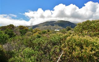 1254 m² Land available in Bettys Bay
