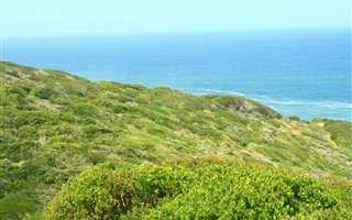 980 m² Land available in Village On Sea