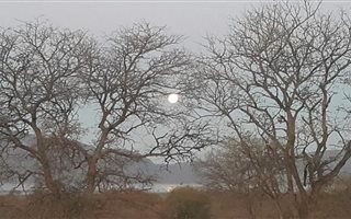 1 Bedroom House in Pongola