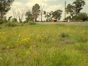 1022 m² Land available in Meyerton Park