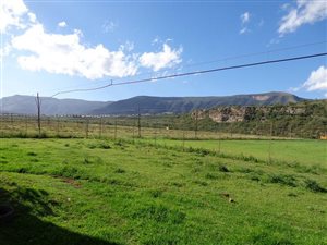 23 ha Farm in Somerset East