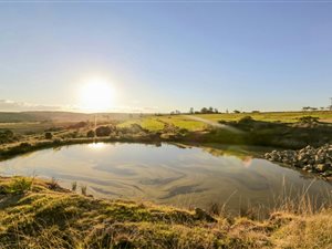 342 ha Farm in Mthata