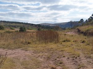 1 ha Land available in Hammarsdale