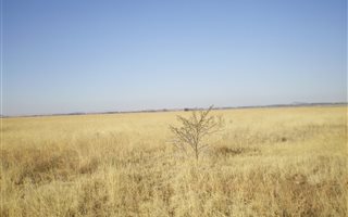2.8 ha Land available in Kwaggafontein
