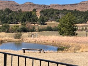 4 ha Farm in Underberg