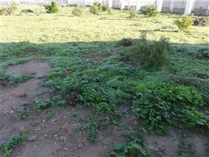 400 m² Land available in Sunset Estate