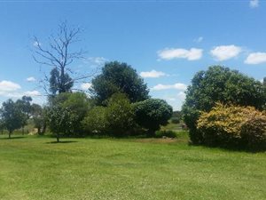 Farm with House in Ermelo