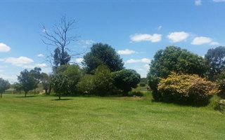 Farm with House in Ermelo