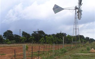 Farm in Kleinfontein