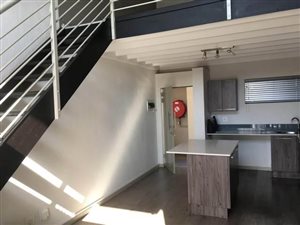 3 Bed Duplex in Beverley