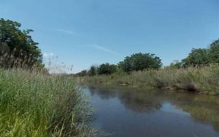 232 ha Farm in Vaalwater