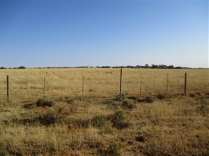 85 ha Farm in Petrusburg