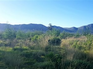 1 ha Farm in Seaview