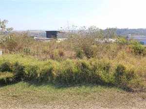 5 ha Land available in Palm Lakes Estate
