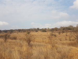 4.3 ha Farm in Tiegerpoort