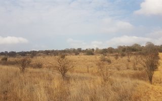 4.3 ha Farm in Tiegerpoort
