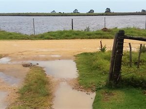 4 ha Farm in Great Brak River