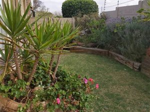 1 Bed Apartment in Sunnyridge