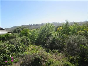 674 m² Land available in Pienaarstrand
