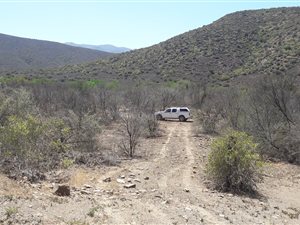 9 ha Farm in Vanwyksdorp