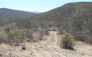 9 ha Farm in Vanwyksdorp