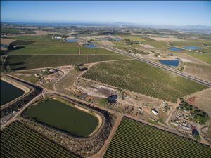 47 ha Farm in Stellenbosch Agricultural