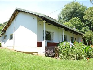 4 Bed House in Richmond
