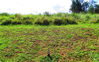 1579 m² Land available in Leisure Bay