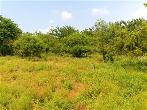 1226 m² Land available in Hazeldean (Silverlakes Surroundings)