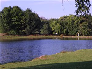 209.8 ha Farm in Dullstroom