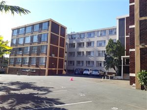 1 Bed Apartment in Morningside