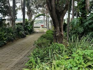 1 ha Farm in Verulam
