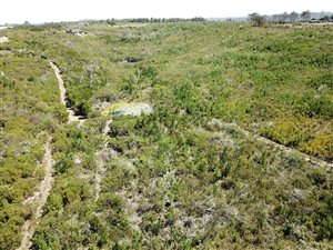 8.6 ha Farm in Plettenberg Bay