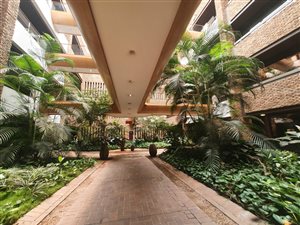 654 m² Commercial space in Bedfordview