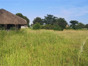 2552 m² Land available in Daleside