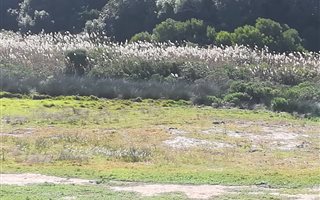 443 m² Land available in Stilbaai