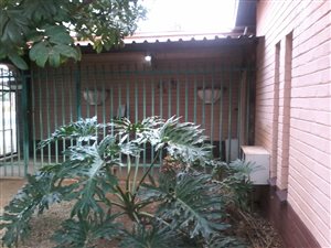 3 Bed House in Jan Niemand Park