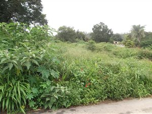 1914 m² Land available in Modjadjiskloof