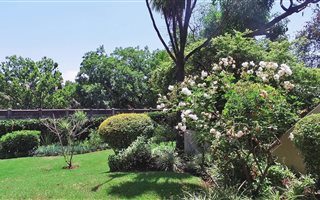 2 Bedroom Apartment in Sunninghill