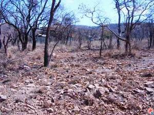 1164 m² Land available in Kranspoort Vakansiedorp