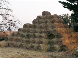 91 ha Farm in Leeuwfontein